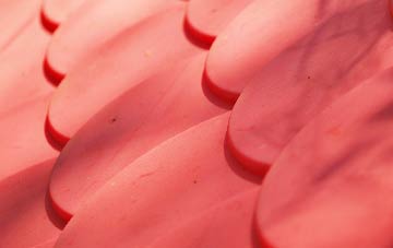 Llys Y Fran plastic roof costs