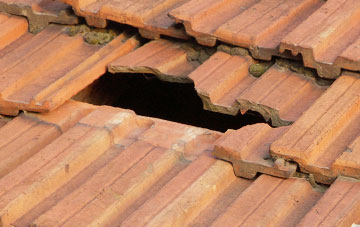 roof repair Llys Y Fran, Ceredigion
